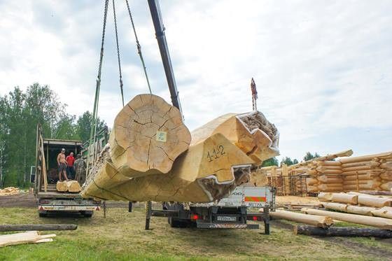 assembling a log cabin